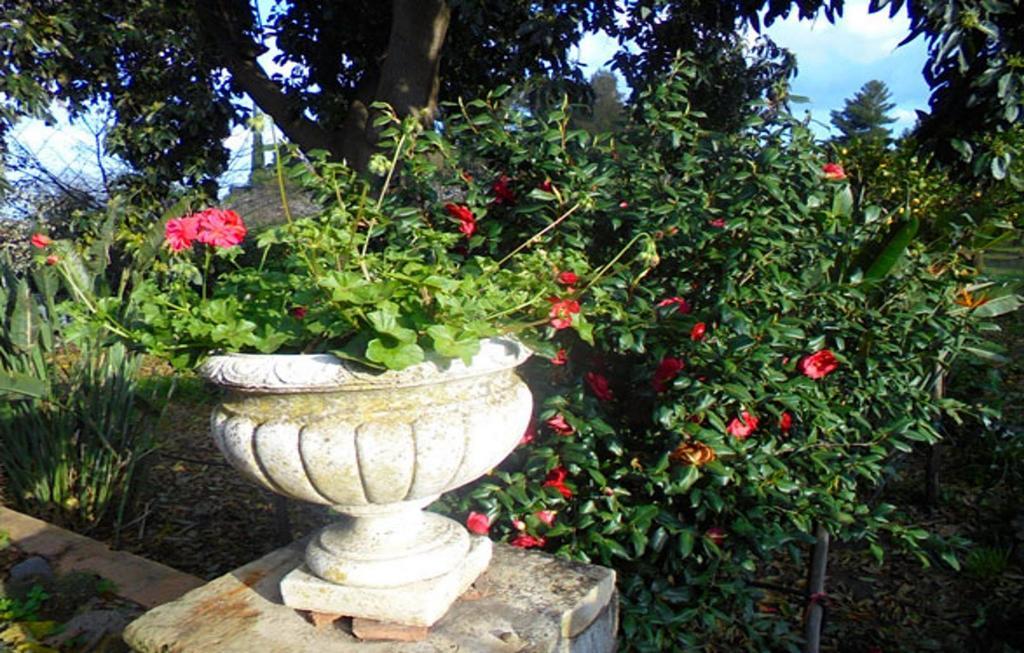 Baglio Delle Rose Giarre Exterior foto