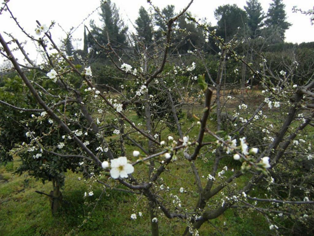 Baglio Delle Rose Giarre Exterior foto